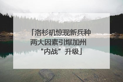 洛杉矶惊现新兵种 两大因素引爆加州“内战”升级