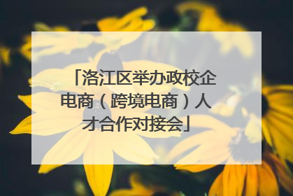 洛江区举办政校企电商（跨境电商）人才合作对接会