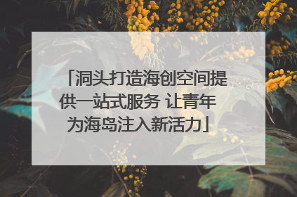 洞头打造海创空间提供一站式服务 让青年为海岛注入新活力