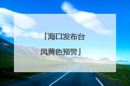 海口发布台风黄色预警