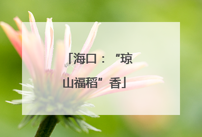 海口：“琼山福稻”香