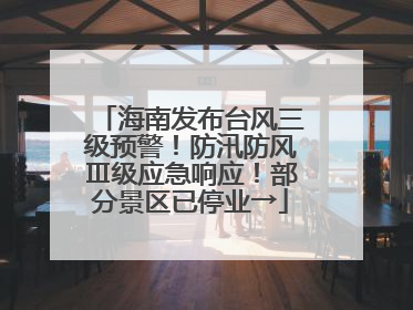 海南发布台风三级预警！防汛防风Ⅲ级应急响应！部分景区已停业→