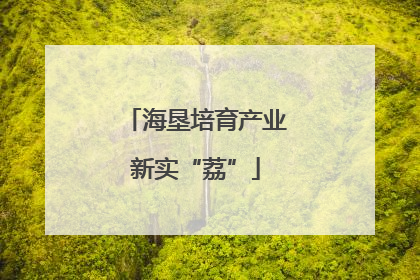 海垦培育产业新实“荔”