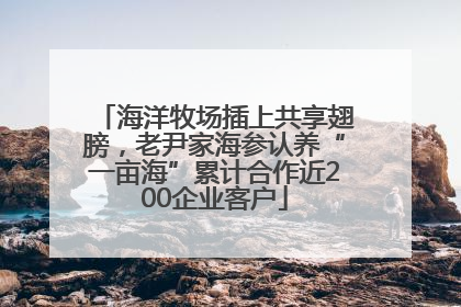 海洋牧场插上共享翅膀，老尹家海参认养“一亩海”累计合作近200企业客户