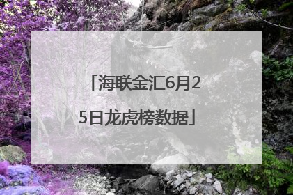 海联金汇6月25日龙虎榜数据