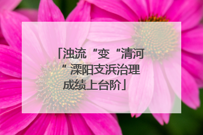 浊流“变“清河“ 溧阳支浜治理成绩上台阶