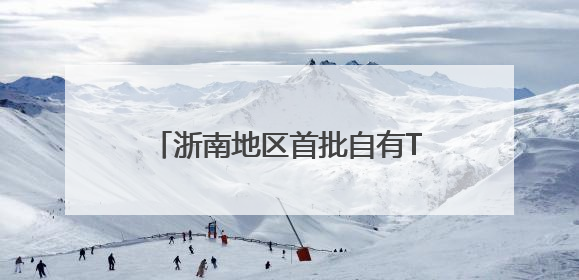 浙南地区首批自有TIR车辆启程 “购车远航”助推外贸发展