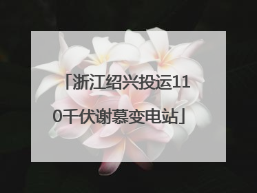 浙江绍兴投运110千伏谢慕变电站