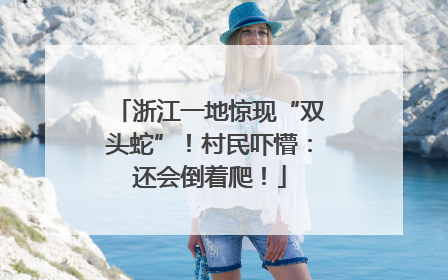 浙江一地惊现“双头蛇”！村民吓懵：还会倒着爬！
