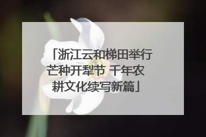 浙江云和梯田举行芒种开犁节 千年农耕文化续写新篇