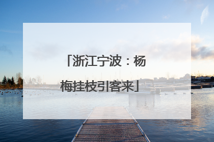 浙江宁波：杨梅挂枝引客来