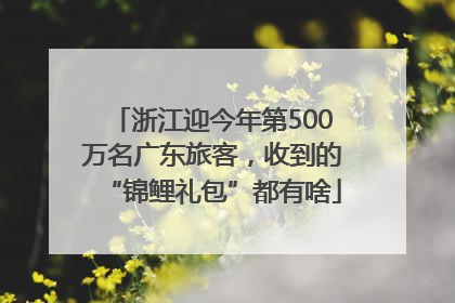 浙江迎今年第500万名广东旅客，收到的“锦鲤礼包”都有啥