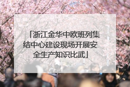 浙江金华中欧班列集结中心建设现场开展安全生产知识比武