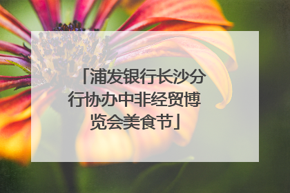 浦发银行长沙分行协办中非经贸博览会美食节