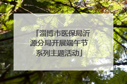 淄博市医保局沂源分局开展端午节系列主题活动
