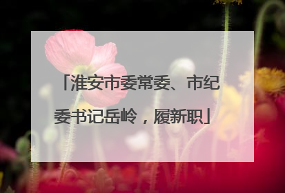 淮安市委常委、市纪委书记岳岭，履新职