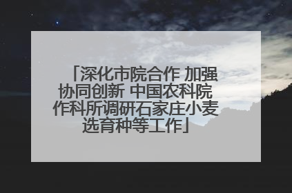 深化市院合作 加强协同创新 中国农科院作科所调研石家庄小麦选育种等工作