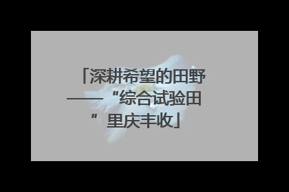 深耕希望的田野——“综合试验田”里庆丰收