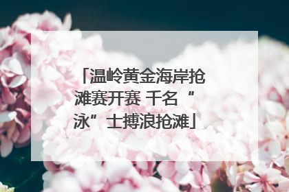 温岭黄金海岸抢滩赛开赛 千名“泳”士搏浪抢滩