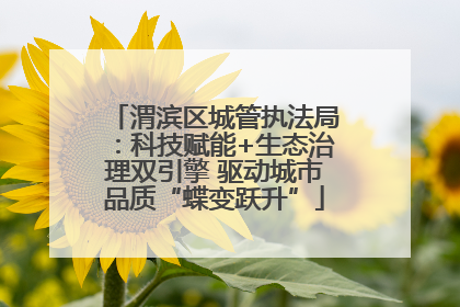 渭滨区城管执法局：科技赋能+生态治理双引擎 驱动城市品质“蝶变跃升”