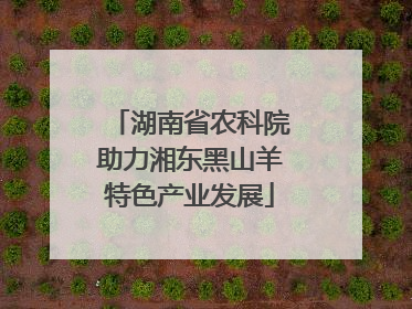 湖南省农科院助力湘东黑山羊特色产业发展