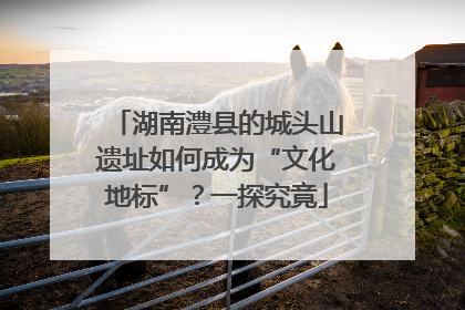 湖南澧县的城头山遗址如何成为“文化地标”？一探究竟