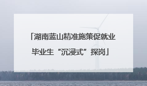 湖南蓝山精准施策促就业 毕业生“沉浸式”探岗