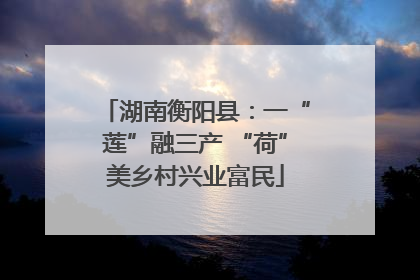 湖南衡阳县：一“莲”融三产 “荷”美乡村兴业富民