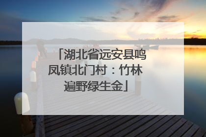 湖北省远安县鸣凤镇北门村：竹林遍野绿生金