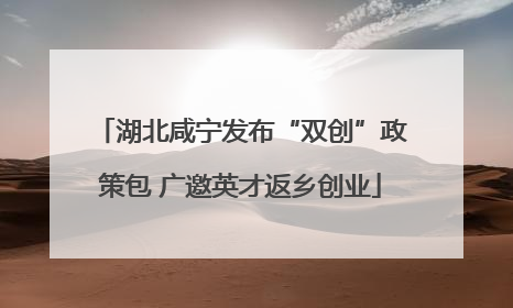 湖北咸宁发布“双创”政策包 广邀英才返乡创业