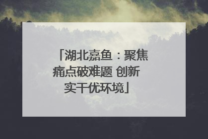 湖北嘉鱼：聚焦痛点破难题 创新实干优环境