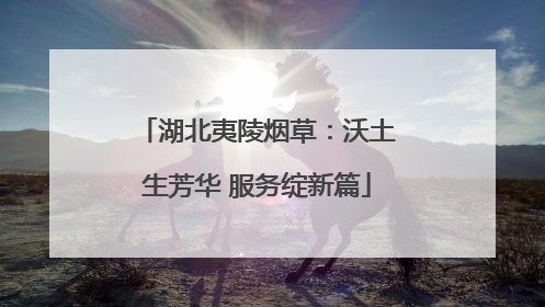 湖北夷陵烟草：沃土生芳华 服务绽新篇
