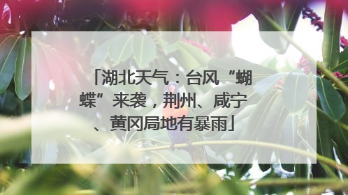 湖北天气：台风“蝴蝶”来袭，荆州、咸宁、黄冈局地有暴雨