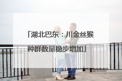 湖北巴东：川金丝猴种群数量稳步增加