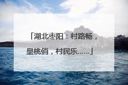 湖北枣阳：村路畅，皇桃俏，村民乐……