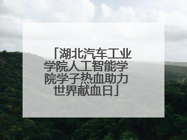 湖北汽车工业学院人工智能学院学子热血助力世界献血日