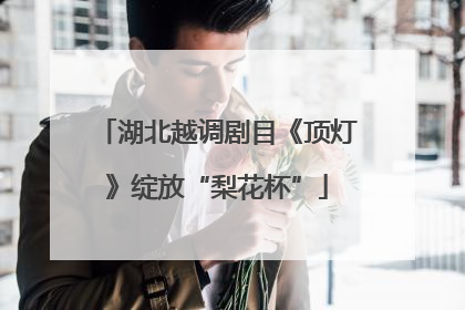 湖北越调剧目《顶灯》绽放“梨花杯”