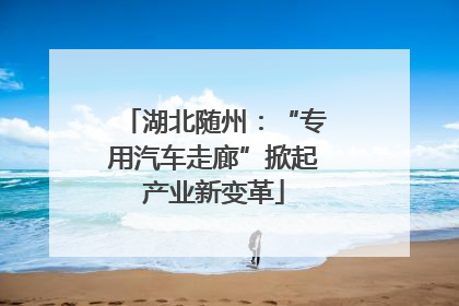湖北随州：“专用汽车走廊”掀起产业新变革