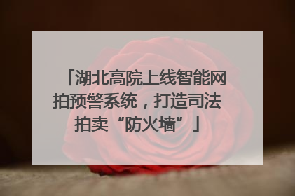 湖北高院上线智能网拍预警系统，打造司法拍卖“防火墙”