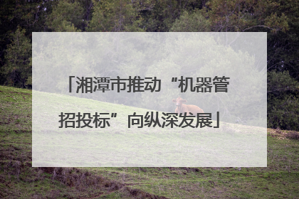 湘潭市推动“机器管招投标”向纵深发展