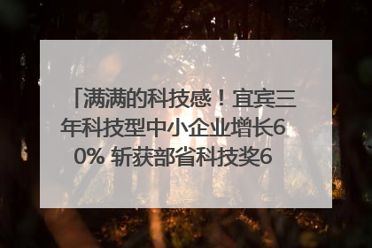 满满的科技感！宜宾三年科技型中小企业增长60% 斩获部省科技奖6项｜您牵挂的四川