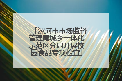 漯河市市场监督管理局城乡一体化示范区分局开展校园食品专项检查