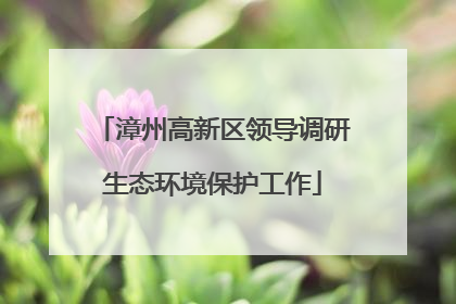 漳州高新区领导调研生态环境保护工作
