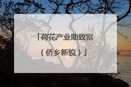 荷花产业助致富（侨乡新貌）
