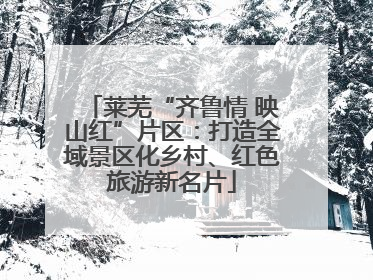 莱芜“齐鲁情 映山红”片区：打造全域景区化乡村、红色旅游新名片