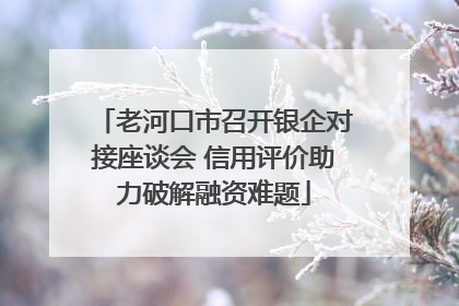 老河口市召开银企对接座谈会 信用评价助力破解融资难题