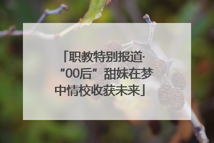 职教特别报道· “00后”甜妹在梦中情校收获未来