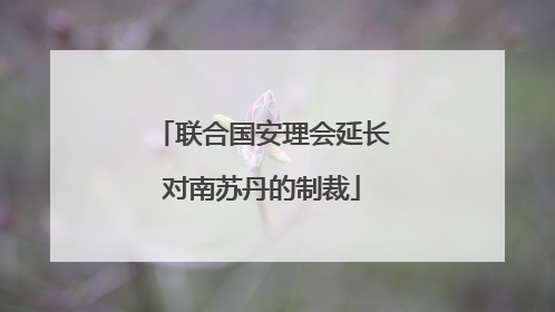 联合国安理会延长对南苏丹的制裁