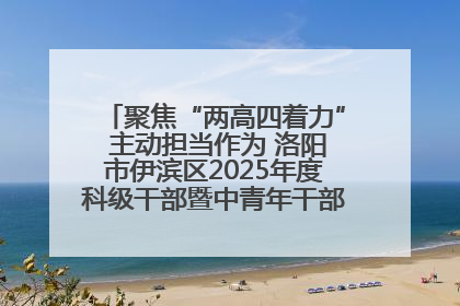 聚焦“两高四着力” 主动担当作为 洛阳市伊滨区2025年度科级干部暨中青年干部培训班开班
