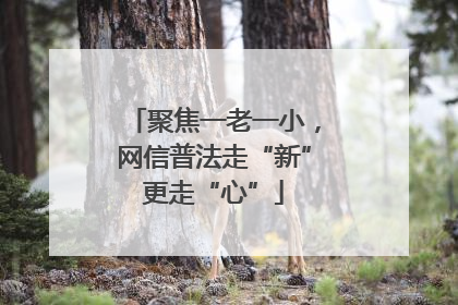 聚焦一老一小，网信普法走“新”更走“心”